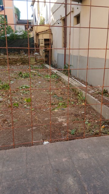 vegetazione 1