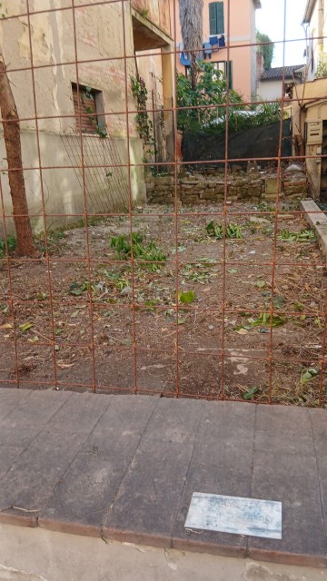 vegetazione 2