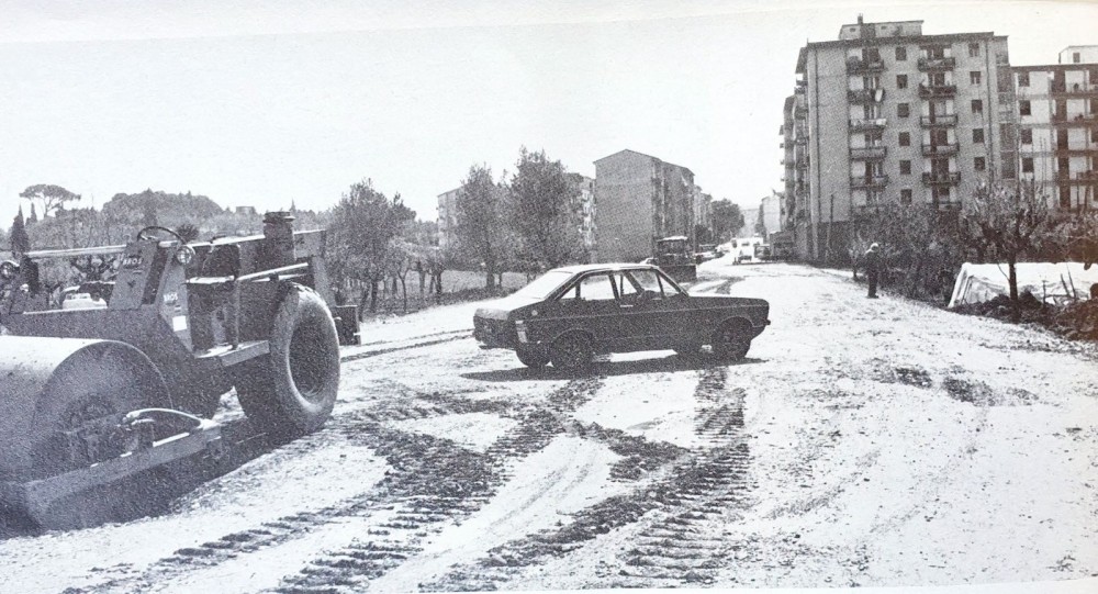 sandonato